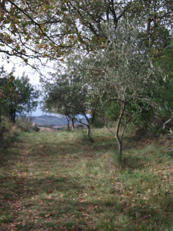 Poggio Del Conero Villa Exterior foto